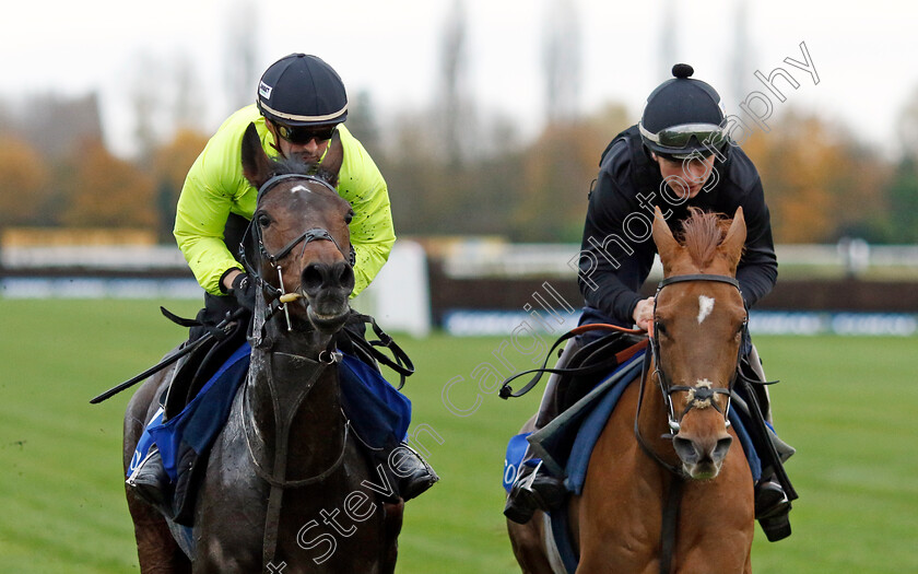 Marie s-Rock-and-Under-Control-0001 
 UNDER CONTROL (right, James Bowen) and MARIE'S ROCK (left, Nico de Boinville)
Coral Gold Cup Gallops Morning
Newbury 21 Nov 2023 - Pic Steven Cargill / Racingfotos.com