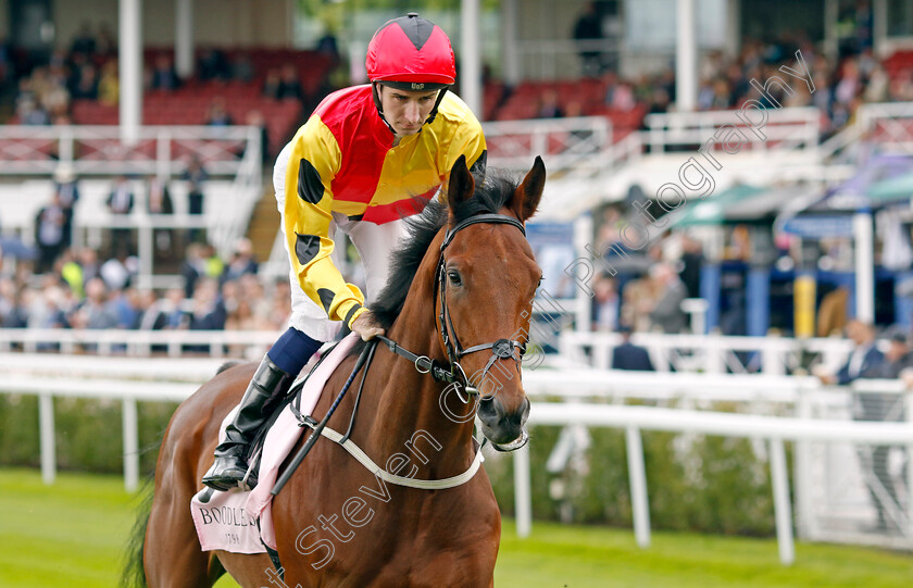 Duke-Of-Oxford-0001 
 DUKE OF OXFORD (Hector Crouch)
Chester 10 May 2023 - pic Steven Cargill / Racingfotos.com