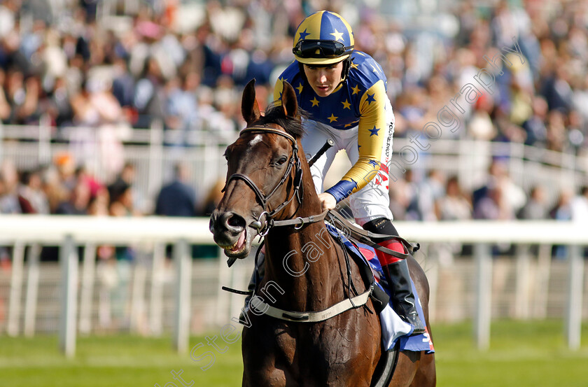 Hipop-De-Loire-0002 
 HIPOP DE LOIRE (Colin Keane)
York 24 Aug 2024 - Pic Steven Cargill / Racingfotos.com