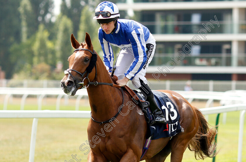 Cleonte-0001 
 CLEONTE (Joshua Bryan)
Newbury 21 Jul 2018 - Pic Steven Cargill / Racingfotos.com