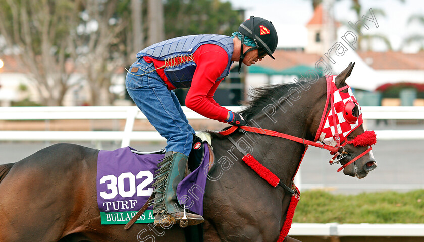 Bullards-Alley-0001 
 BULLARDS ALLEY training for The Breeders' Cup Turf at Del Mar USA, 1 Nov 2017 - Pic Steven Cargill / Racingfotos.com