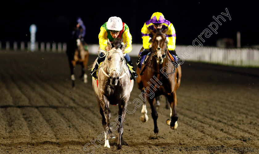 Champagne-Prince-0001 
 CHAMPAGNE PRINCE (William Buick) wins The Unibet Wild Flower Stakes
Kempton 11 Dec 2024 - Pic Steven Cargill / Racingfotos.com