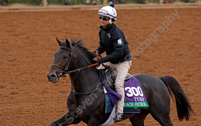 Beach-Patrol-0001 
 BEACH PATROL exercising at Del Mar USA in preparation for The Breeders' Cup Turf 30 Oct 2017 - Pic Steven Cargill / Racingfotos.com