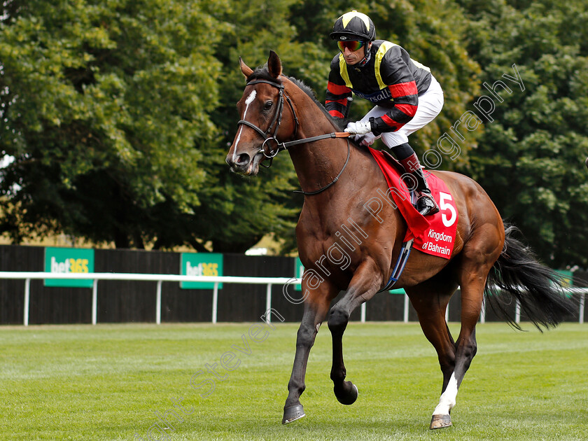 Global-Giant-0001 
 GLOBAL GIANT (Gerald Mosse)
Newmarket 12 Jul 2018 - Pic Steven Cargill / Racingfotos.com