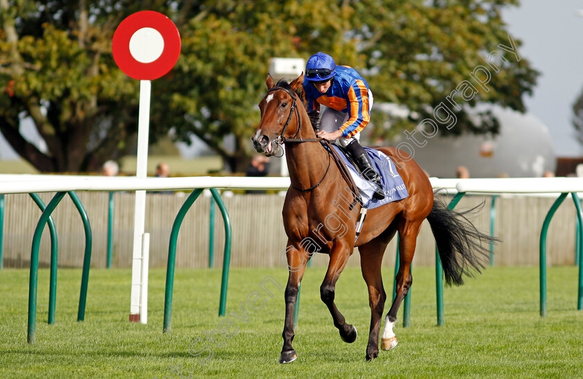 Bubbling-0006 
 BUBBLING (Ryan Moore) winner of The Al Basti Equiworld Dubai Rockfel Stakes
Newmarket 27 Sep 2024 - Pic Steven Cargill / Racingfotos.com