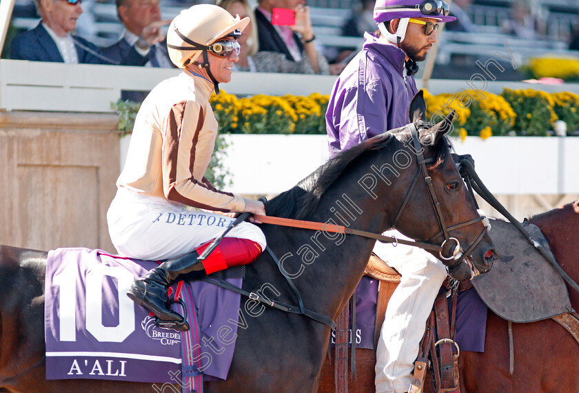 A Ali-0001 
 A'ALI (Frankie Dettori)
Santa Anita 1 Nov 2019 - Pic Steven Cargill / Racingfotos.com