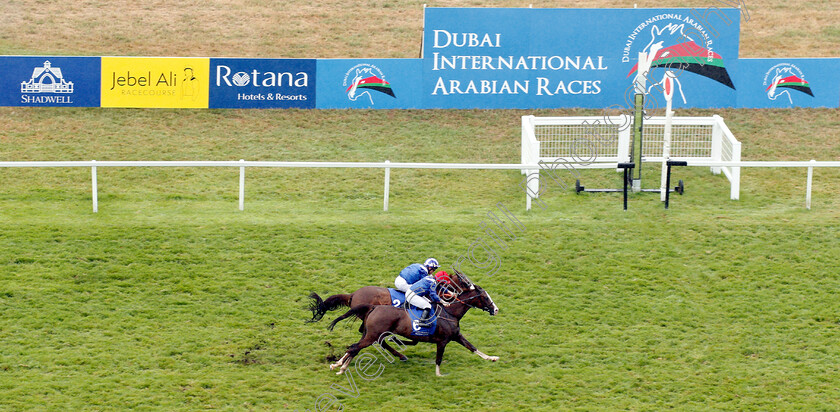 Saleemah-0004 
 SALEEMAH (nearside, Sam Hitchcott) beats HALIB DES FORGES (farside) in The Rotana Hotels And Resorts Premier Handicap
Newbury 29 Jul 2018 - Pic Steven Cargill / Racingfotos.com