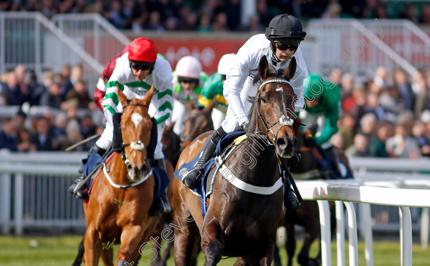 Constitution-Hill-0012 
 CONSTITUTION HILL (Nico de Boinville) wins The William Hill Aintree Hurdle
Aintree 13 Apr 2023 - Pic Steven Cargill / Racingfotos.com