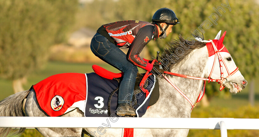 Entscheiden-0001 
 ENTSCHEIDEN training for The Turf Sprint
King Abdulaziz Racetrack, Riyadh, Saudi Arabia 22 Feb 2022 - Pic Steven Cargill / Racingfotos.com