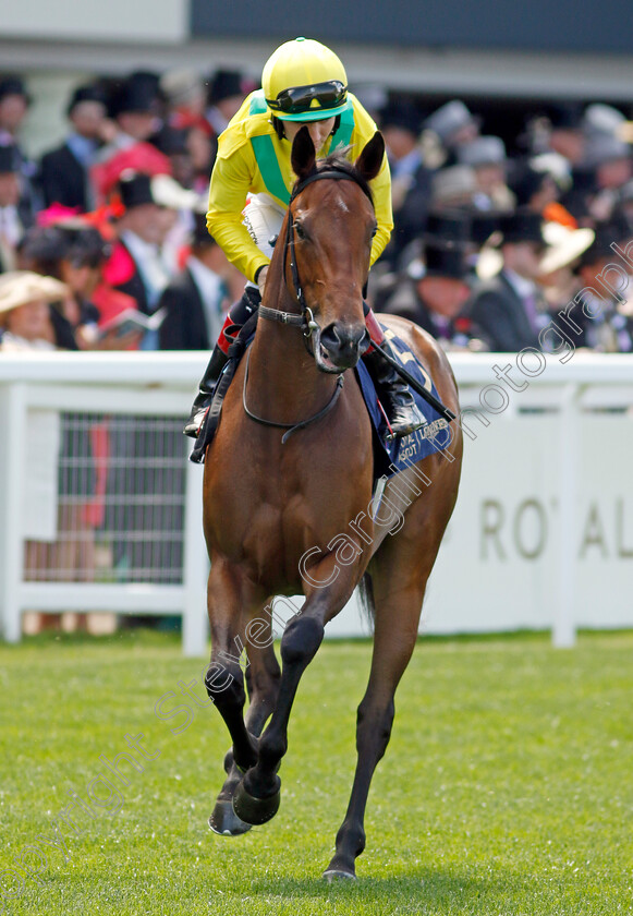 Grand-Oak 
 GRAND OAK (Colin Keane)
Royal Ascot 15 Jun 2022 - Pic Steven Cargill / Racingfotos.com