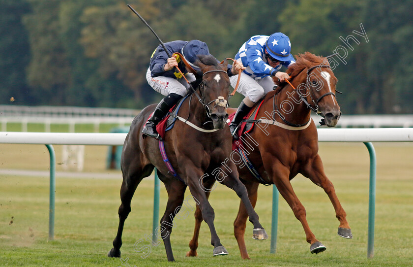 Rose-Fandango-0004 
 ROSE FANDANGO (right, Kieran O'Neill) beats TROIS VALLEES (left) in The Watch Racing TV Fillies Handicap
Haydock 2 Sep 2022 - Pic Steven Cargill / Racingfotos.com