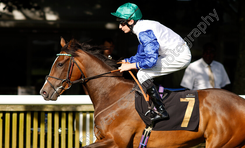 Thine-Be-The-Glory-0001 
 THINE BE THE GLORY (Luke Morris)
Newmarket 9 Aug 2024 - Pic Steven Cargill / Racingfotos.com