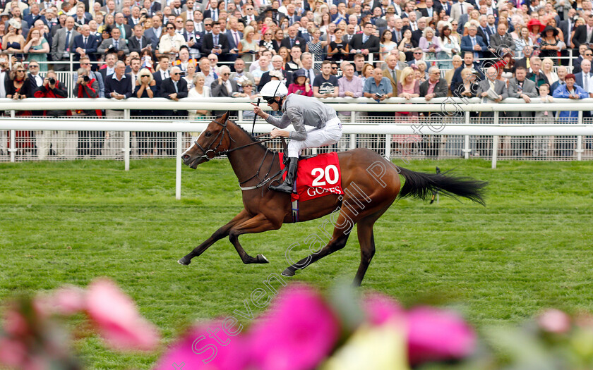 Red-Balloons-0007 
 RED BALLOONS (Barry McHugh) wins The Goffs UK Premier Yearling Stakes
York 23 Aug 2018 - Pic Steven Cargill / Racingfotos.com