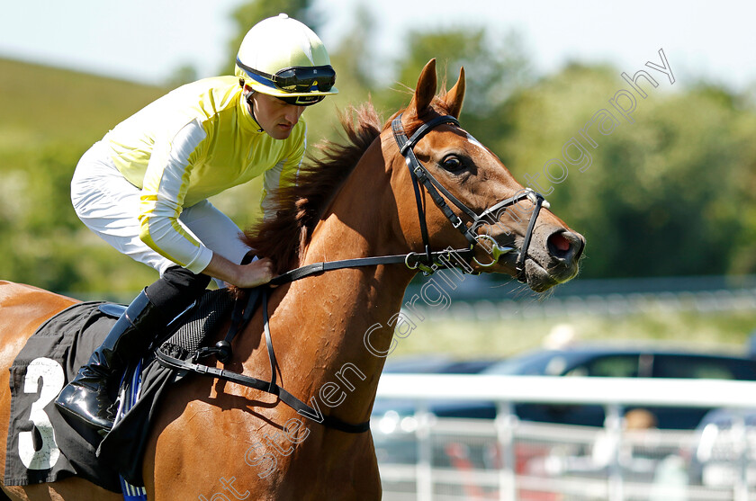 Choisya-0001 
 CHOISYA (Harry Burns)
Goodwood 26 May 2023 - Pic Steven Cargill / Racingfotos.com