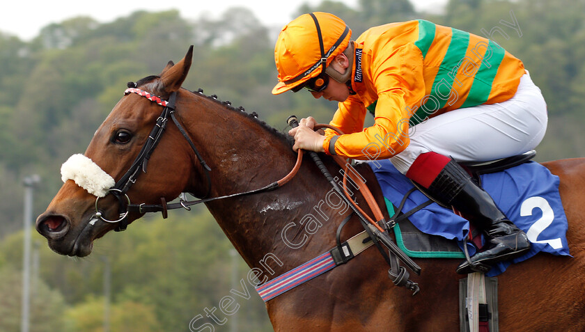 Free-Love-0003 
 FREE LOVE (Theodore Ladd) wins The Racing TV Profits Returned To Racing Handicap
Nottingham 30 Apr 2019 - Pic Steven Cargill / Racingfotos.com