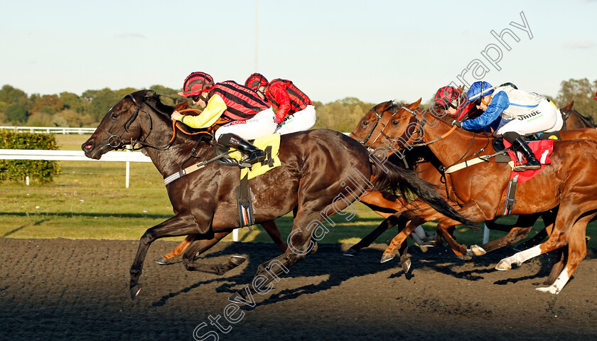 Magicinthemaking-0003 
 MAGICINTHEMAKING (Hollie Doyle) wins The Racing TV Profits To Returned To Racing Handicap Div2
Kempton 2 Oct 2019 - Pic Steven Cargill / Racingfotos.com