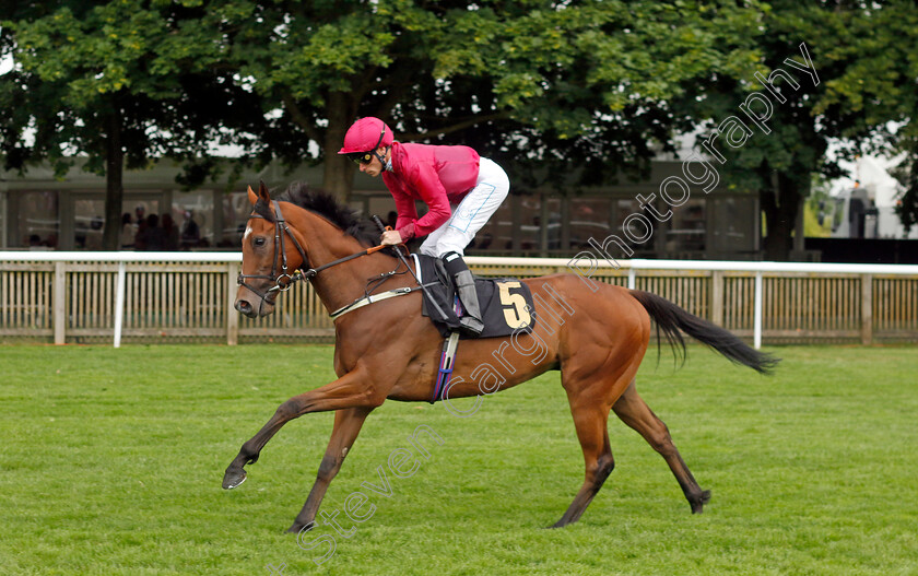 Smoky-Mountain-0001 
 SMOKY MOUNTAIN (Kieran Shoemark)
Newmarket 12 Jul 2024 - Pic Steven Cargill / Racingfotos.com