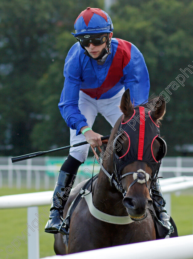 Sir-Roderic-0001 
 SIR RODERIC (Christian Howarth)
Newbury 16 Jul 2021 - Pic Steven Cargill / Racingfotos.com