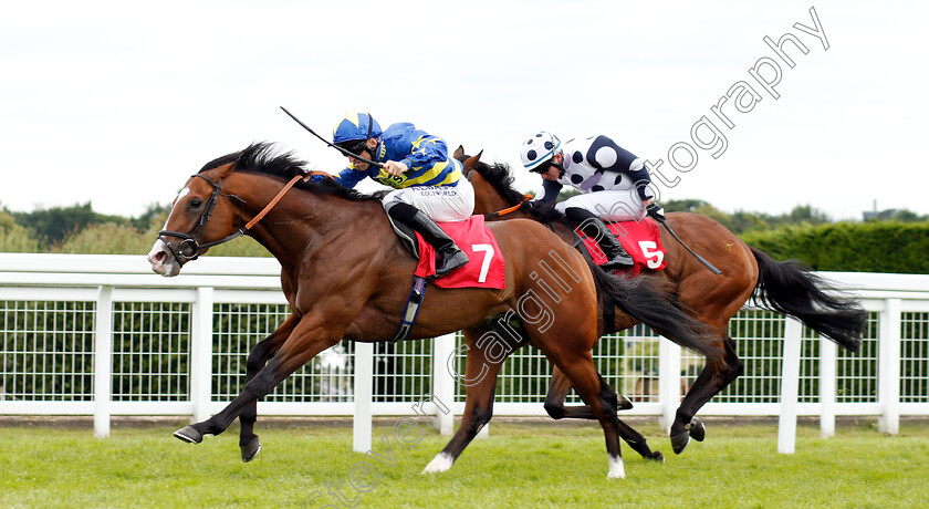 Rum-Runner-0003 
 RUM RUNNER (Pat Dobbs) wins The Randox Handicap 
Sandown 16 Jun 2018 - Pic Steven Cargill / Racingfotos.com