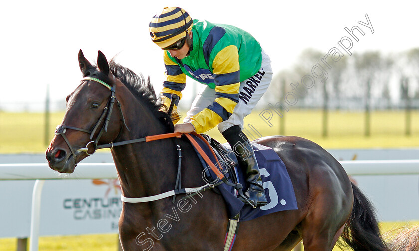 Midnights-Legacy-0002 
 MIDNIGHTS LEGACY (Tom Marquand) winner of The Download The Star Sports App Now EBF Novice Stakes
Bath 16 Oct 2019 - Pic Steven Cargill / Racingfotos.com