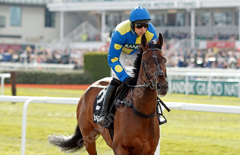 Shan-Blue 
 SHAN BLUE (Harry Skelton)
Aintree 9 Apr 2022 - Pic Steven Cargill / Racingfotos.com