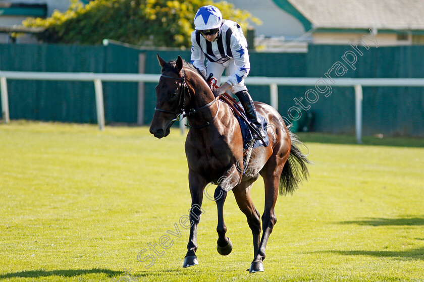 Beltadaay-0001 
 BELTADAAY (Adam Farragher)
Yarmouth 17 Sep 2024 - Pic Steven Cargill / Racingfotos.com