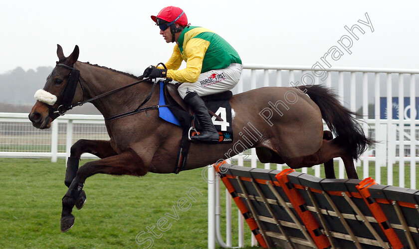 Magic-Of-Light-0002 
 MAGIC OF LIGHT (Robbie Power) wins The OLBG.com Mares Hurdle
Ascot 19 Jan 2019 - Pic Steven Cargill / Racingfotos.com