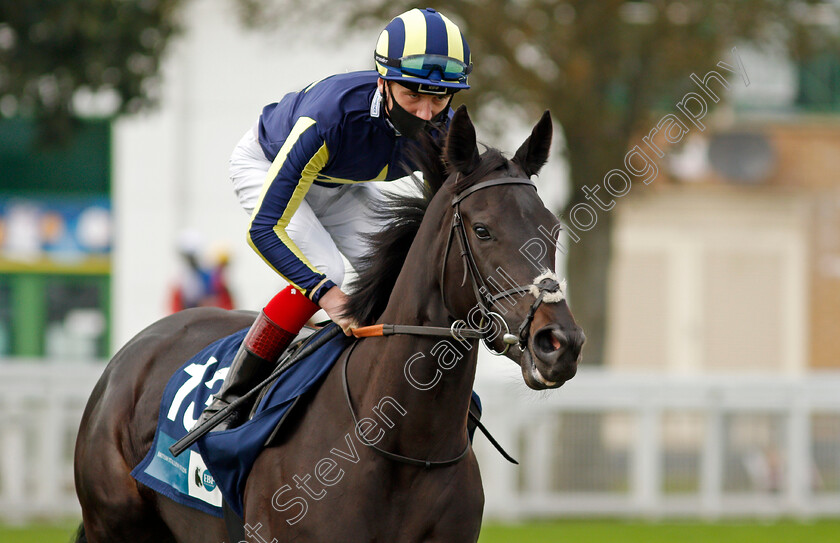 Waliyak-0001 
 WALIYAK (David Egan)
Yarmouth 16 Sep 2020 - Pic Steven Cargill / Racingfotos.com