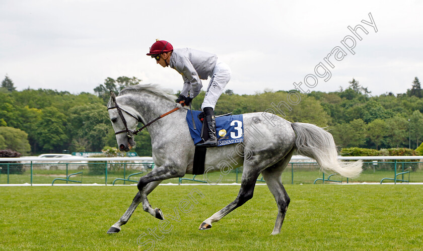 Mwarid-0001 
 MWARID (Christophe Soumillon)
Longchamp 12 May 2024 - Pic Steven Cargill / Racingfotos.com