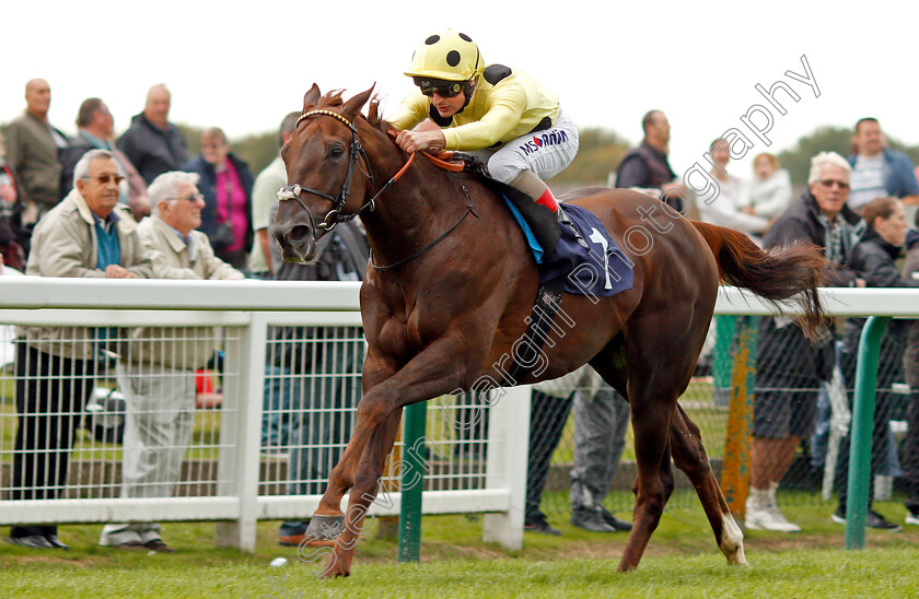 Zabeel-Prince-0004 
 ZABEEL PRINCE (Andrea Atzeni) wins The Sea-Deer Handicap Yarmouth 20 Sep 2017 - Pic Steven Cargill / Racingfotos.com