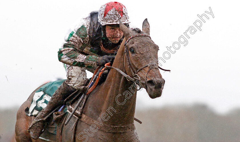 Welsh-Saint-0004 
 WELSH SAINT (Nico de Boinville) wins The Bethan-Megan-Elin Maiden Hurdle
Warwick 12 Dec 2019 - Pic Steven Cargill / Racingfotos.com