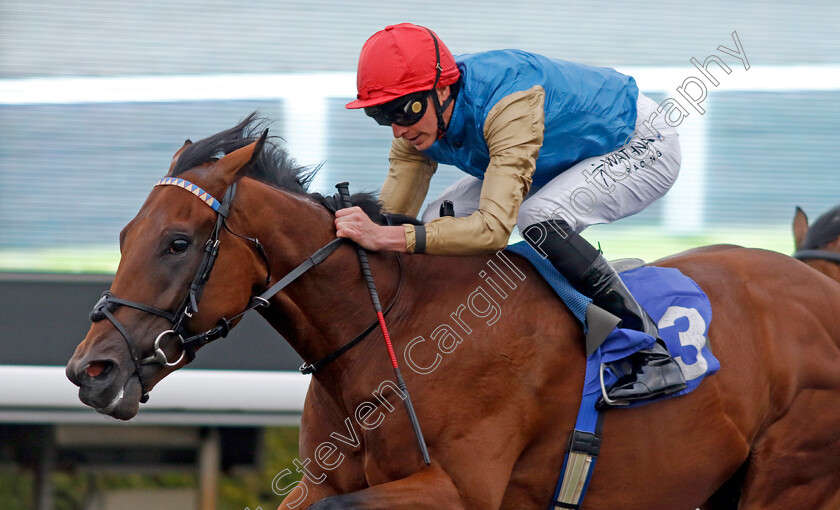 Dunamase-0001 
 DUNAMASE (James Doyle) wins The Unitbet British Stallion Studs EBF Novice Stakes
Kempton 28 Aug 2024 - Pic Steven Cargill / Racingfotos.com