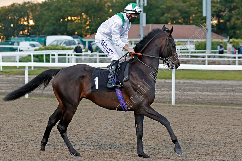 Desert-Empire-0001 
 DESERT EMPIRE (Tom Marquand)
Chlmsford 15 Oct 2020 - Pic Steven Cargill / Racingfotos.com