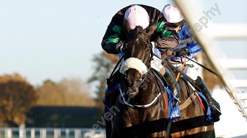 Strong-Leader-0002 
 STRONG LEADER (Sean Bowen)
Warwick 22 Nov 2023 - Pic Steven Cargill / Racingfotos.com