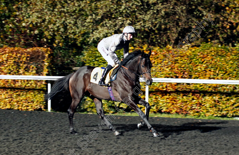 Feud-0001 
 FEUD (Daniel Tudhope)
Kempton 16 Nov 2022 - Pic Steven Cargill / Racingfotos.com