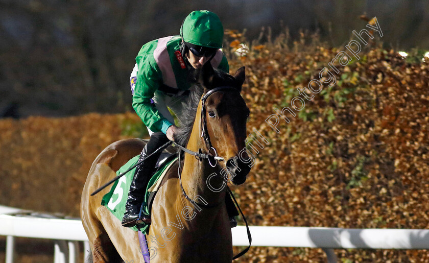 Nanny-Park-0003 
 NANNY PARK (Daniel Muscutt) winner of The Racing TV Fillies Restricted Novice Stakes
Kempton 11 Dec 2024 - Pic Steven Cargill / Racingfotos.com