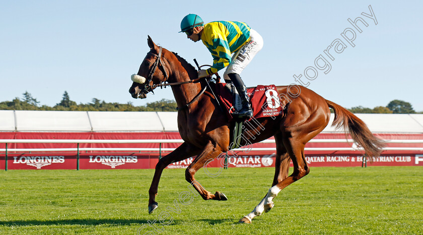 Lady-Vitesse-0001 
 LADY VITESSE (Tony Piccone)
Longchamp 5 Oct 2024 - Pic Steven Cargill / Racingfotos.com