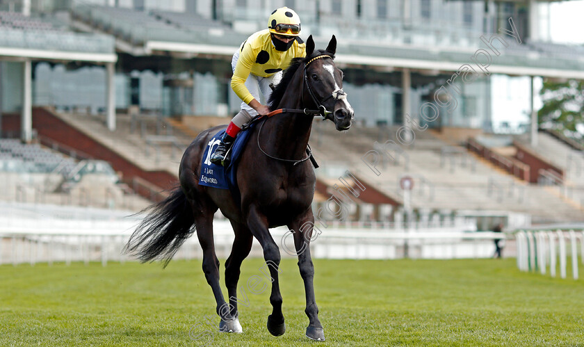 Royal-Champion-0002 
 ROYAL CHAMPION (Andrea Atzeni)
York 13 May 2021 - Pic Steven Cargill / Racingfotos.com