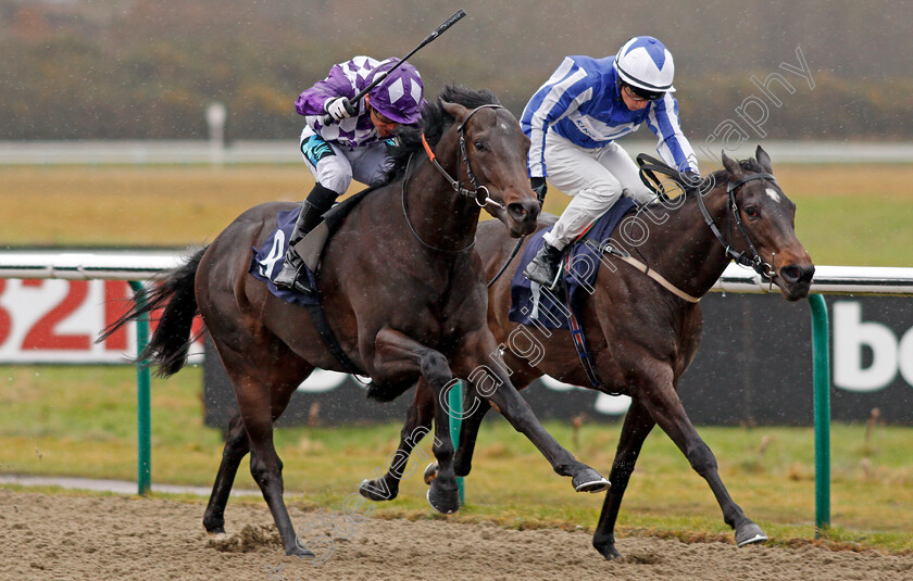 Vice-Marshal-0002 
 VICE MARSHAL (left, Stevie Donohoe) beats FELISA (right) in The Play For Free At sunbets.co.uk/vegas Handicap Lingfield 3 Feb 2018 - Pic Steven Cargill / Racingfotos.com