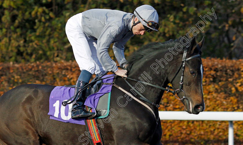 Secret-Diary-0003 
 SECRET DIARY (Kieran Shoemark)
Kempton 20 Nov 2019 - Pic Steven Cargill / Racingfotos.com