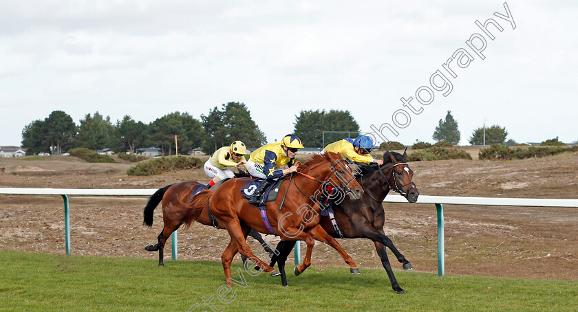 Universal-Order-0001 
 UNIVERSAL ORDER (centre, Jamie Spencer) beats EL MISK (right) in The Dan Hague Yarmouth's Number 1 Bookmaker Handicap
Yarmouth 17 Sep 2019 - Pic Steven Cargill / Racingfotos.com