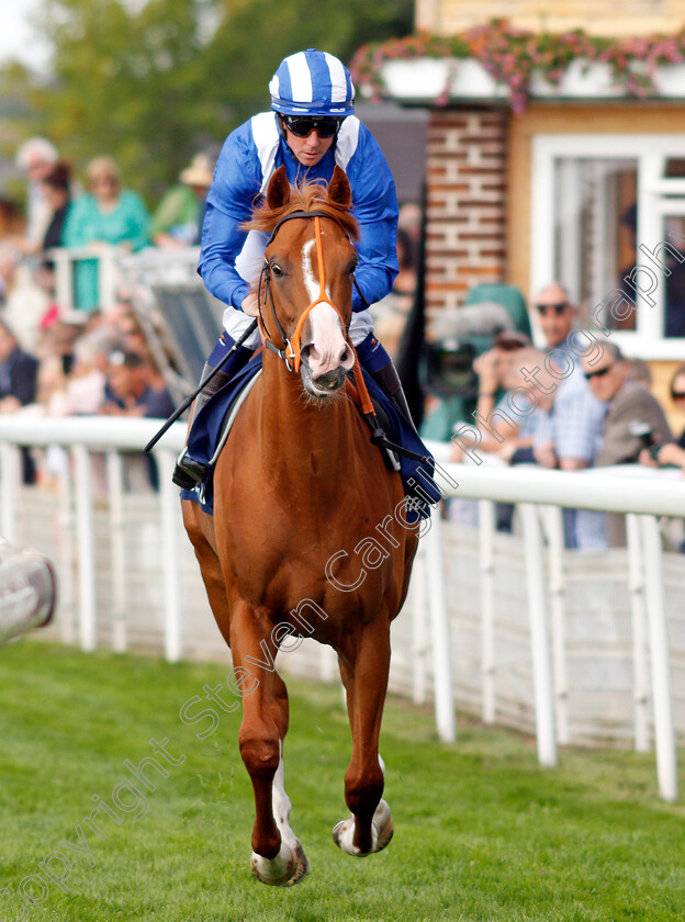 Ehraz-0001 
 EHRAZ (Jim Crowley)
York 18 Aug 2021 - Pic Steven Cargill / Racingfotos.com