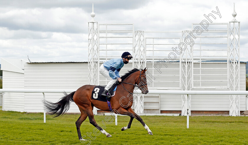 Flotilla-0006 
 FLOTILLA (David Egan)
Goodwood 29 Aug 2020 - Pic Steven Cargill / Racingfotos.com