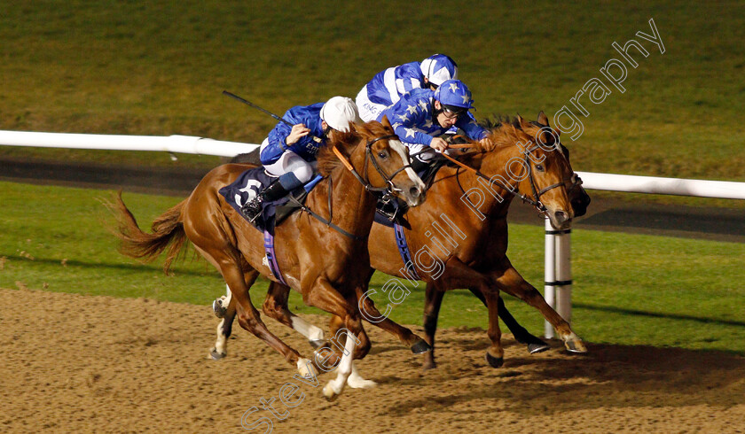 Untold-Story-0002 
 UNTOLD STORY (left, Callum Shepherd) beats TOORA LOORA (right) in The Betway Novice Stakes
Wolverhampton 5 Dec 2020 - Pic Steven Cargill / Racingfotos.com