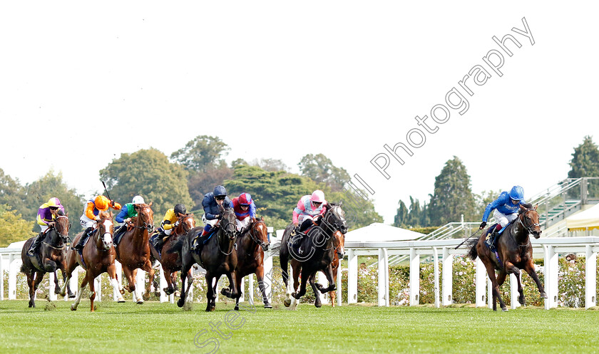 Olympic-Candle-0006 
 OLYMPIC CANDLE (Oisin Murphy) wins The Charbonnel Et Walker British EBF Maiden Stakes
Ascot 8 Sep 2023 - Pic Steven Cargill / Racingfotos.com