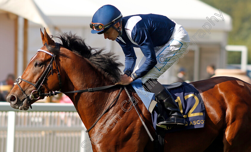 Theory-Of-Tides-0002 
 THEORY OF TIDES (Kieran Shoemark)
Royal Ascot 21 Jun 2024 - Pic Steven Cargill / Racingfotos.com