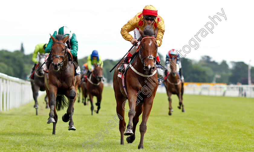 Gold-Mount-0006 
 GOLD MOUNT (Andrea Atzeni) wins The Sky Bet Race To The Ebor Grand Cup
York 15 Jun 2019 - Pic Steven Cargill / Racingfotos.com