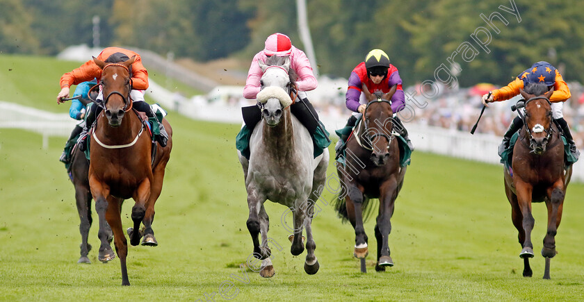 Double-Or-Bubble-0006 
 DOUBLE OR BUBBLE (left, Jack Mitchell) beats MISTY GREY (centre) and EVER GIVEN (right) in The Weatherbys Stallion Book Supreme Stakes
Goodwood 28 Aug 2022 - Pic Steven Cargill / Racingfotos.com