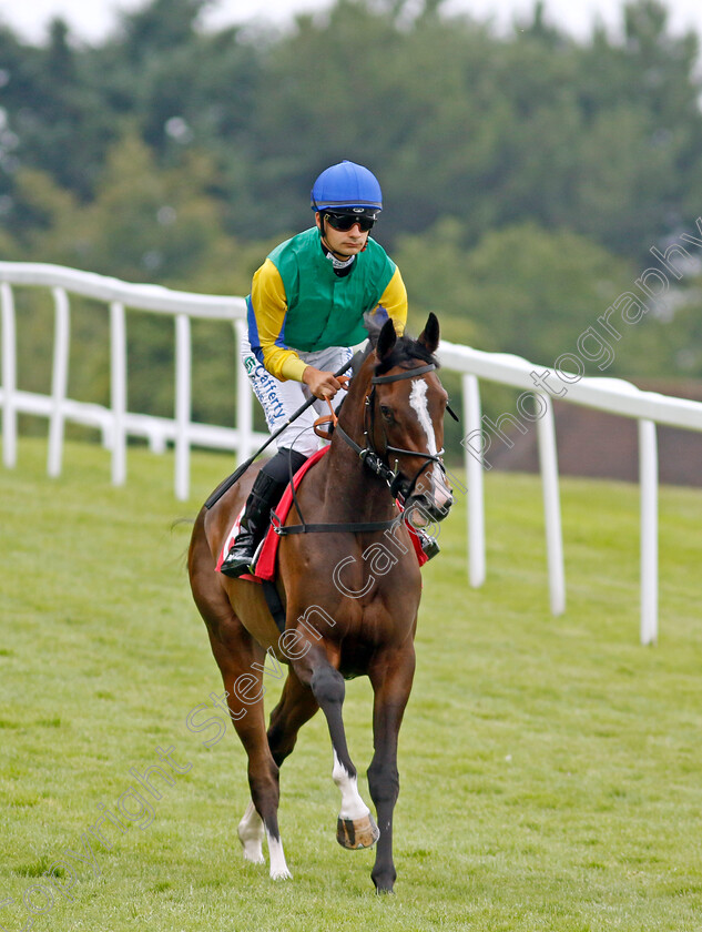 Ipanema-Princess-0002 
 IPANEMA PRINCESS (Stefano Cherchi)
Sandown 21 Jul 2022 - Pic Steven Cargill / Racingfotos.com