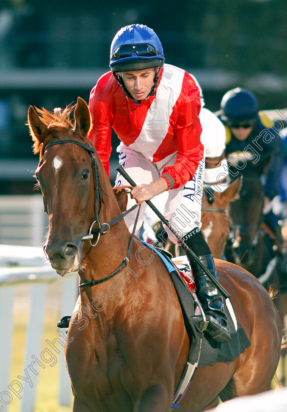 Melnikova-0001 
 MELNIKOVA (Ryan Moore)
Newbury 20 Sep 2019 - Pic Steven Cargill / Racingfotos.com